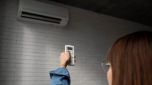 1736184877_22578f317042a0581042