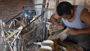 1739191887_26cd2dcd07e133b383ca