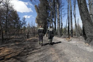 1739328031_d543e80e8a1e190d26fe