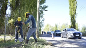 1739363809_921329d35d12c581adb1