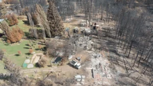 1739987643_b0a8dc9b37fa8047380b