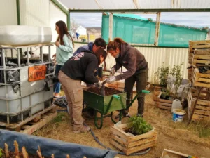 1740767184_2447a029a3c55b591a23