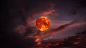 1741714809_8f95193109b434bdfe7e