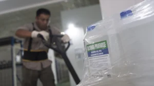 1741967921_206d802928d5b344947c