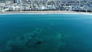 1742404793_3628df8bc83bba71a430