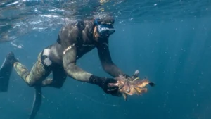 1742566694_7daa6a7c9be0b7cee911