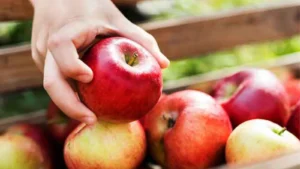 1742595765_297f697be9d5e5271d92