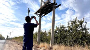 1743013661_1c75a57af2eecf48c17d