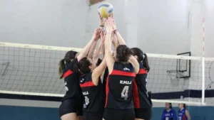 1744380434_07722a5cb784bfcd1ec1