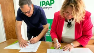 1744382892_2d3ebf8e36e639388d54