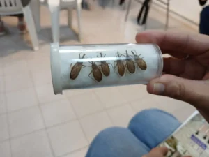 1744637298_ec6ac7c5f91eaa8c55d6