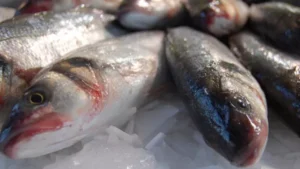 1744927633_ce80abd80e736ffda92f