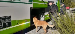 1745244487_123181ee73a34b02e759