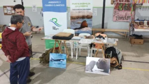 1745341079_aed2a7ae8fd19616aa33