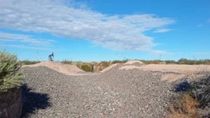 1745605355_34c6f105a8de881d78f3