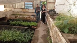 1745856683_5b31473893cb620a8375