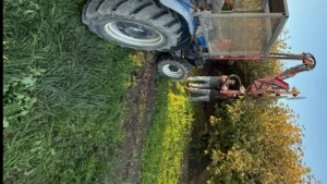 1746809992_e87fe3109af34b2df0fb