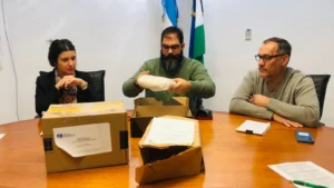 1746811200_87f4d4dcc41efe80ea6f