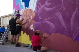 1747051803_b87b9f594040bb847952