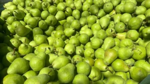 1747239362_92894f070cae76df3787