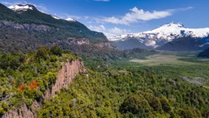 1747847364_6775eeeefc13c5eb21b4