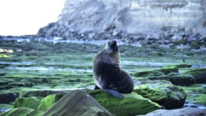 1747915989_f41036b156f1c054d9f6