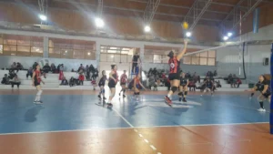 WhatsApp-Image-2025-05-09-at-13.28.37