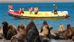 1749650513_944a49dee2d241b0f4ee