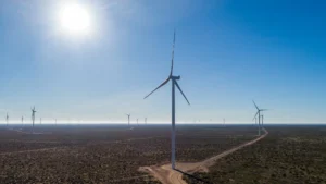 1749820493_14db2a8b39879b32e74c