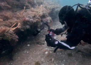 1749945056_ec51d902ed358cc59278