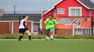 1750167377_e694481ea9d7b27e510f