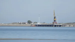 1750355893_07aa2877596161dc81d8