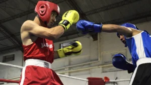 1750364382_df9939dc2bee1141c312