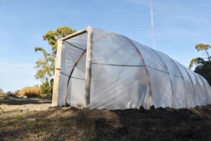 1750369998_3e1bc7136d3f934871d2