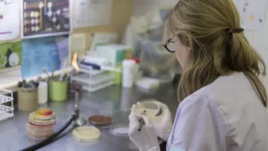 1750699915_af7b6b37e5ec0e0eeebf