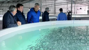 1750766717_52a078e95599241dc3fe