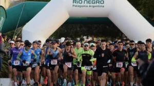 1750862848_3484bf089e09c41125e4