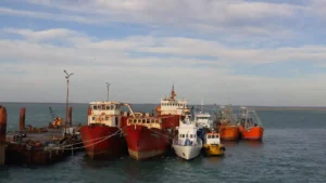 1751042253_03f49b15f605a1933f90