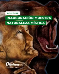 WhatsApp-Image-2025-06-04-at-15.53.38