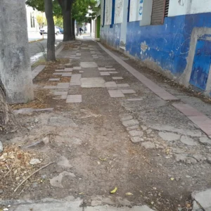 WhatsApp-Image-2025-06-12-at-10.49.42