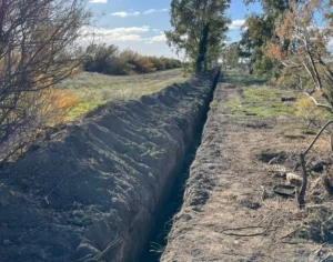 1751477185_d0a5410d474b4d71d8ea