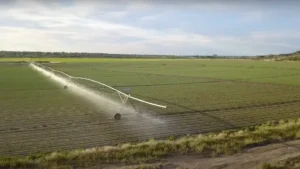 1751487345_7983b051ec73c8381e98