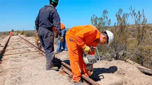 1752163616_6373fec86df16be90616