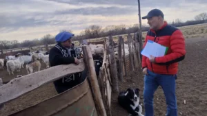 1752239425_d33d9b6edfb142f467b7