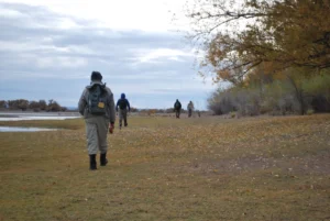 1752679456_a3a2d2781f75af4a57b2