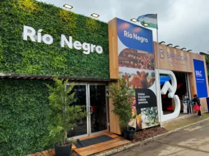 1752776851_8c79d5b1e2b529a2c92d