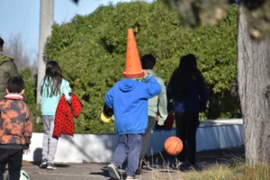 1753108150_02bb3b9a92ba10528fdf