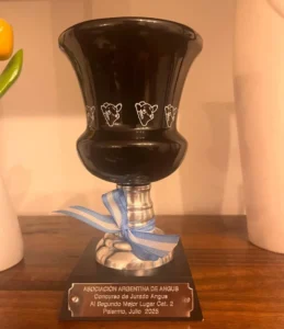 1753285330_e1190d0c6ce182417d02