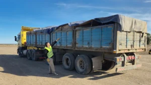 1753356476_e6eb7445a634b6537a34