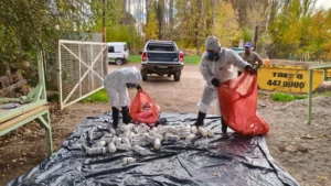 1753722558_c7f78f70a776ad8cbd26